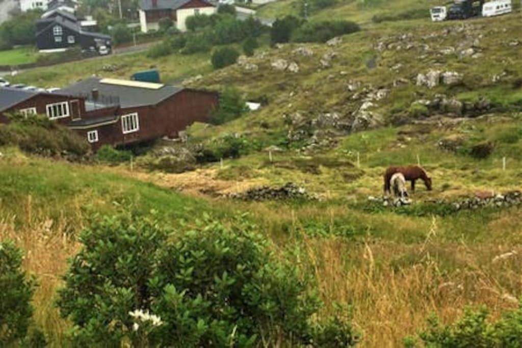 Hyggelig Lejlighed Ved Aen - Flot Udsigt Torshavn Luaran gambar